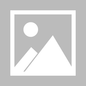 经验分享-德甲解签：拜仁狼堡多特皆上签 莱比锡入虎口